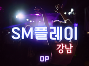 강남-SM플레이(오피)