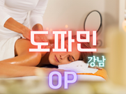 강남-도파민(오피)
